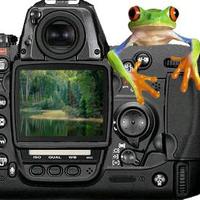 Froglegs Photography (@smilemonster) 's Twitter Profile