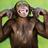 arunsagar's profile image