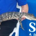 Jamie Grimm - @Squijum - Twitter