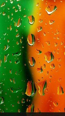 BriCam0221's profile picture. 