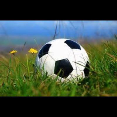 Director Técnico Nacional de Futbol. Videoanalista. Ningún jugador de fútbol es tan bueno como todos juntos.