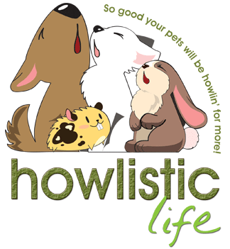 HowlisticLife Profile Picture