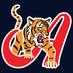 Tigres de Aragua (@tigressdearagua) Twitter profile photo