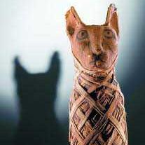 RatStevensRadio's profile picture. Radio Host Monday Mornings 6 to 8am on CFCR 90.5FM