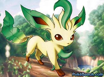 |Male|Wild|Level 5| Hi I'm a Leafeon nice to meet you. With the beautiful @AliceGlaceon #PokemonRP #OpenRP