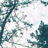 Yuichi_I's profile image