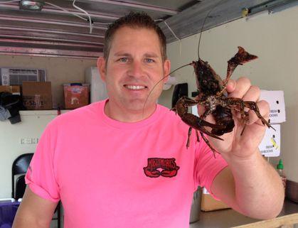 mobilemudbugs's profile picture. We are a full service mobile crawfish company specializing in a one of a kind crawfish food truck experience.