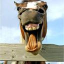 Tá de brinks [Beta] - @Davi_Torres - Twitter