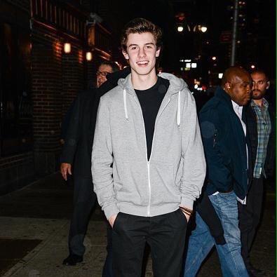 imagine Shawn doing dirty things to you