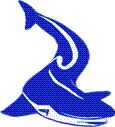 Gosport 'Sharks' Network Scouts.  Scouting for 18-25 year olds.