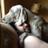 Logan_Gray's profile image