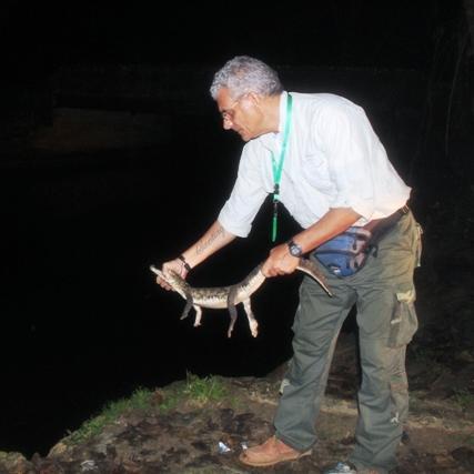 luisbiodiverso's profile picture. Naturalista. Especialista en cetáceos y vida salvaje.Director regional del MINEA. Director de Centro de Albergue de Fauna Silvestre