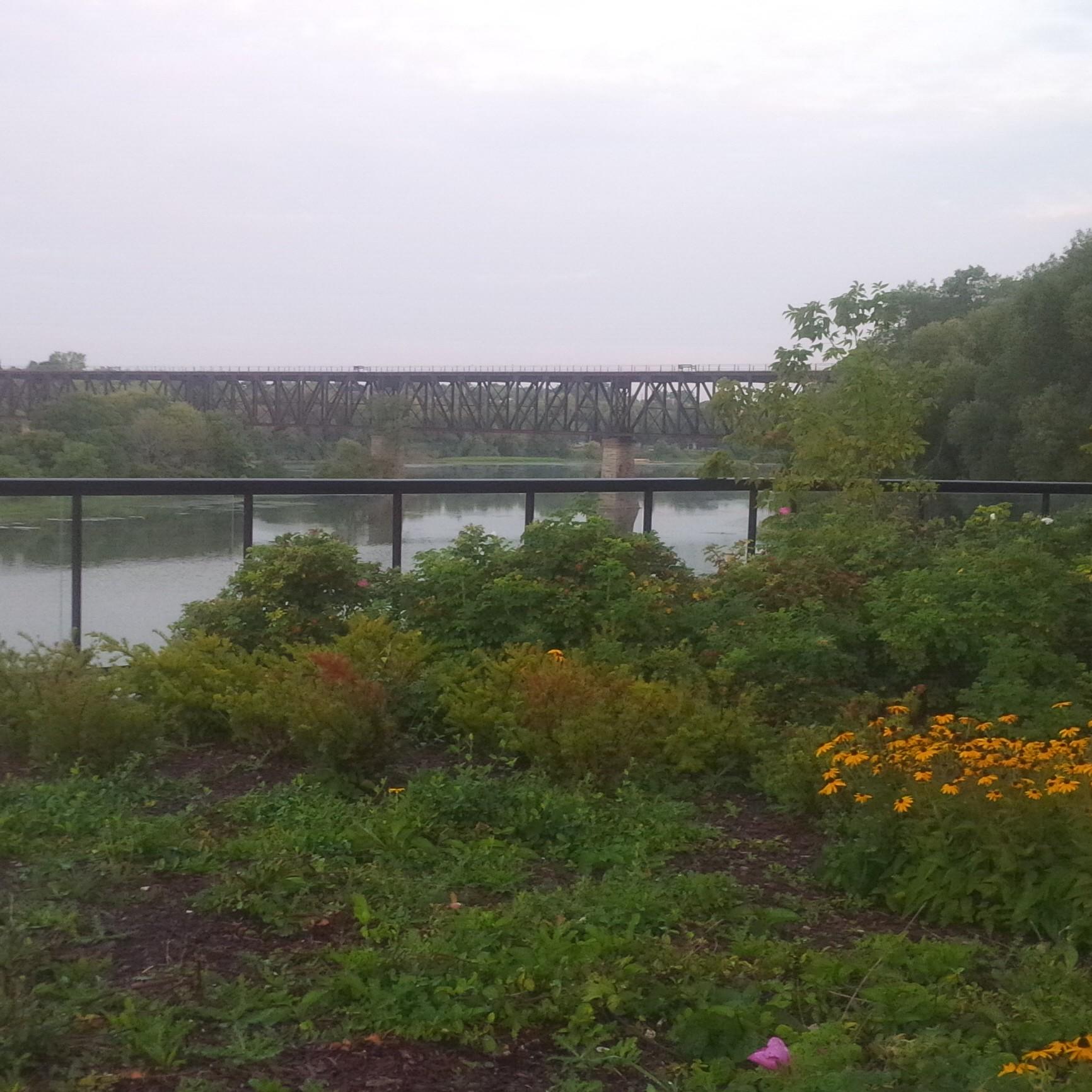 dicoop99's profile picture. 