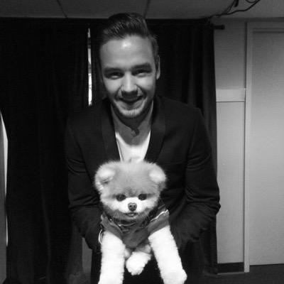 please go follow @squishyyniall