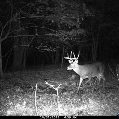 mj7923's profile picture. 