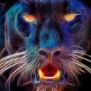 Justin Rash - @PantherMonkey13 - Twitter