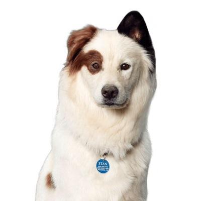 follow @calumismymom bc free follow