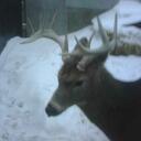 Don Jackson - @donathomeca - Twitter