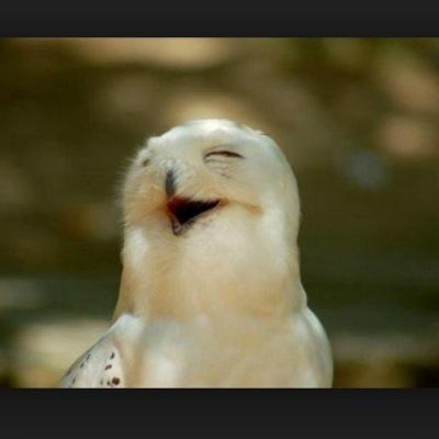 edmundneoxq's profile picture. GET YOUR PHONE OUT OF MY FACE!!!