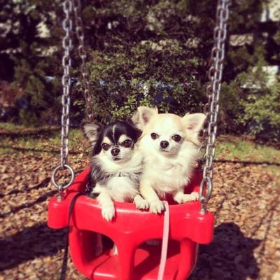 momorikochan's profile picture. アカウント移行してますっ！@dpm224