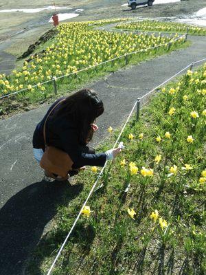 5229Asami's profile picture. 