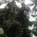 Jim Ling - @JimzLingon - Twitter