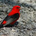 Bill Kaye - @killybay - Twitter