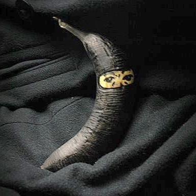 squidgit36's profile picture. the world is not a patch on our jeans