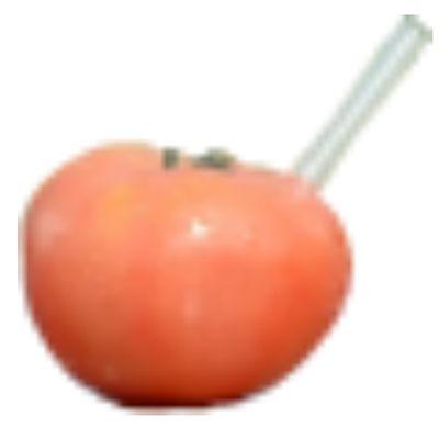 Do.さんのプロフィール画像
