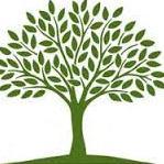 BimoGhiffa's profile picture. 