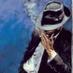كاتم الاحزان (@fdali123ali) Twitter profile photo كاتم الاحزان (@fdali123ali) Twitter profile photo