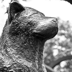 tabbit_japan's profile picture. Tabbit is where you can find travel blogs about Japan. We help travellers to make plans. We also offer free tour in Japan.