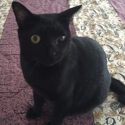 St160oEtXbxO5Cs's profile picture. Y IC→作業療法士