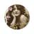 bibbibobo's profile image