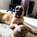 Emery Terry - @EmeryTerry - Twitter