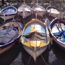 Tracey Stark - @traceyinbelize - Twitter