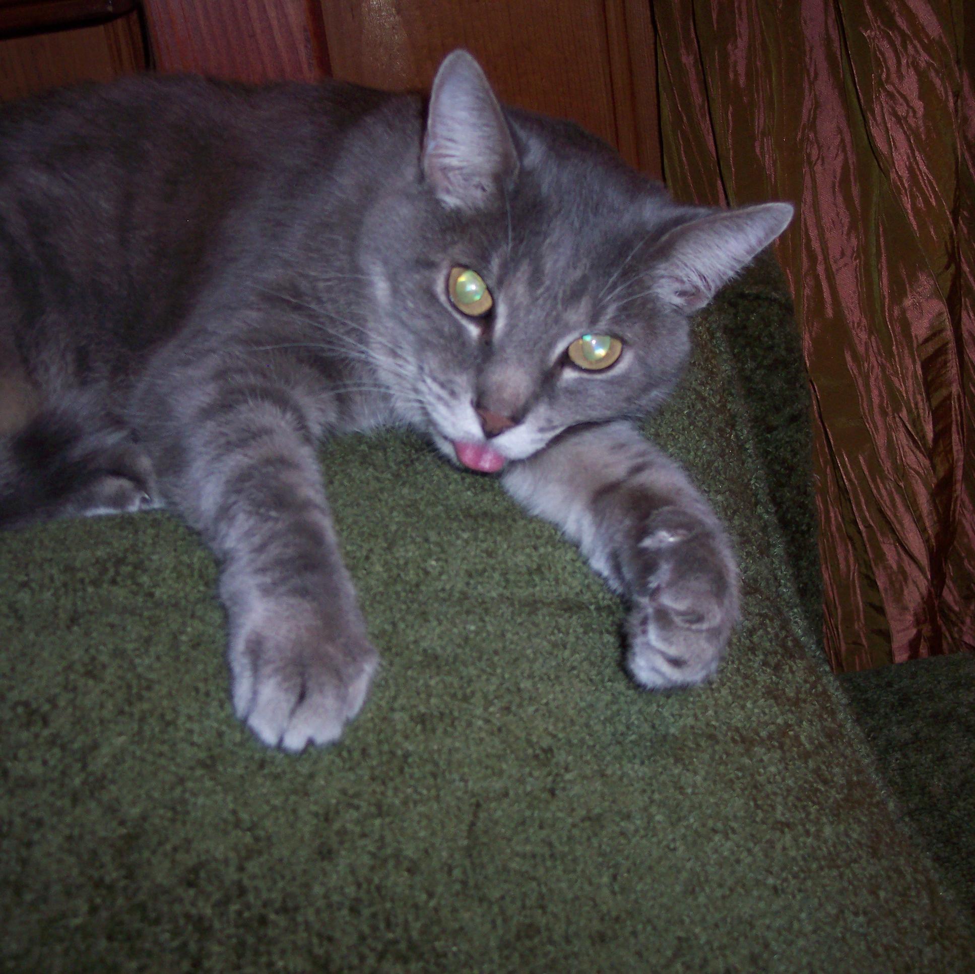 ReviewPerfectio's profile picture. 