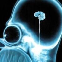 usa tu cerebro (@usatucerebro_cl) 's Twitter Profile