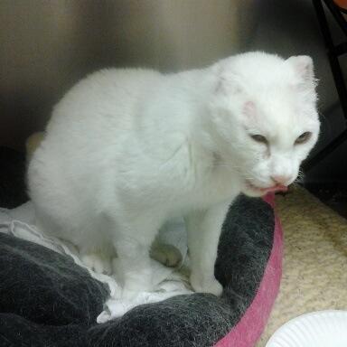 drubincam's profile picture. World Traveller, Veterinary Assistant