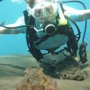 Nina Petrie - @NinaPetrie - Twitter