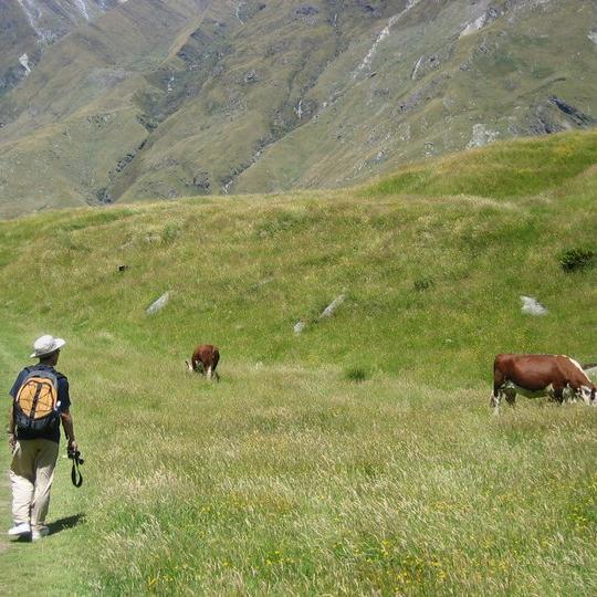Love_parks's profile picture. 東京の公園管理してます。公園、野鳥、野草をこよなく愛してます。 トトロの舞台になった里山のような環境で暮らしたいと夢見る樹木医一年生。