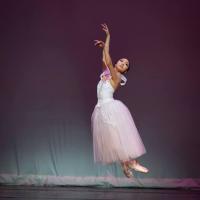Patricia Zhou (@patricia_zhou) 's Twitter Profile
