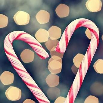 Follow me and I will follow you back.