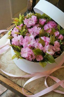 عشقته من اطفوله فكان لي أجمل أحلامي