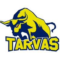 Rakvere Tarvas (@rakveretarvas) 's Twitter Profile