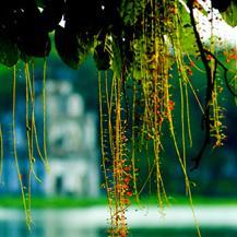 Thuy668's profile picture. 