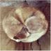Carmen (@pandachina2) Twitter profile photo Carmen (@pandachina2) Twitter profile photo