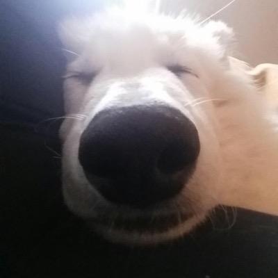 ds_carl's profile picture. 