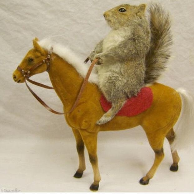 Gallopingrabbit's profile picture. 