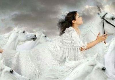 aemrh55's profile picture. 